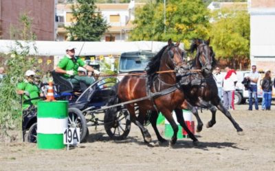 Montilla acoge el domingo 18 una nueva prueba de la Liga Interprovincial de Enganches Córdoba-Jaén-Granada