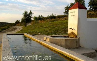 El Ayuntamiento crea una ordenanza para proteger los caminos y bienes rurales  de uso público