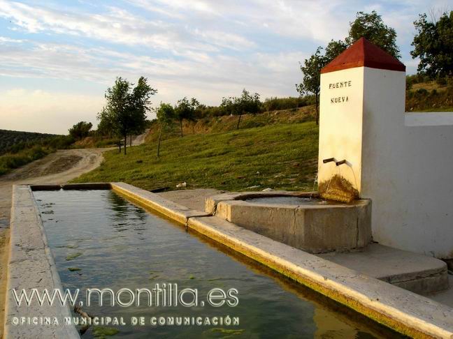 El Ayuntamiento crea una ordenanza para proteger los caminos y bienes rurales  de uso público 1