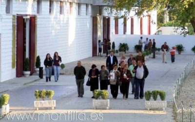 Las obras de la segunda fase y última del Centro de Arte Contemporáneo y Vino ‘Envidarte’ durarán cinco meses