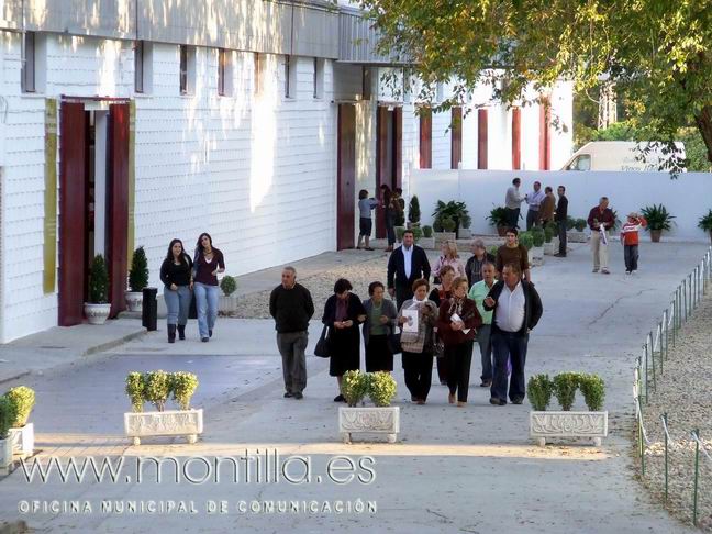 Las obras de la segunda fase y última del Centro de Arte Contemporáneo y Vino 'Envidarte' durarán cinco meses 1