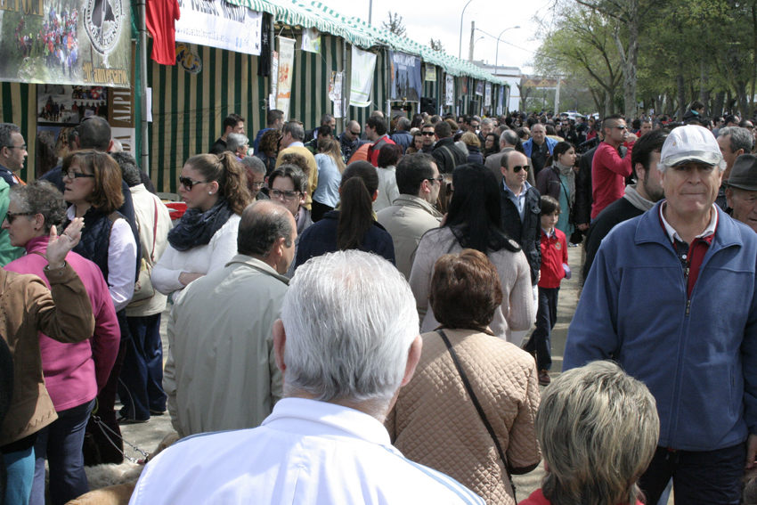 Los montillanos se vuelcan con el Día del Vecino dedicado a los artesanos locales 1