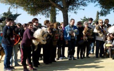 El I Día de la Mascota de Montilla congrega a más de un millar de personas y a más de un centenar de animales