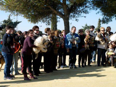 El I Día de la Mascota de Montilla congrega a más de un millar de personas y a más de un centenar de animales 1