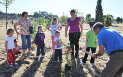 Abuelos y nietos protagonizan una plantación de árboles en Jarata