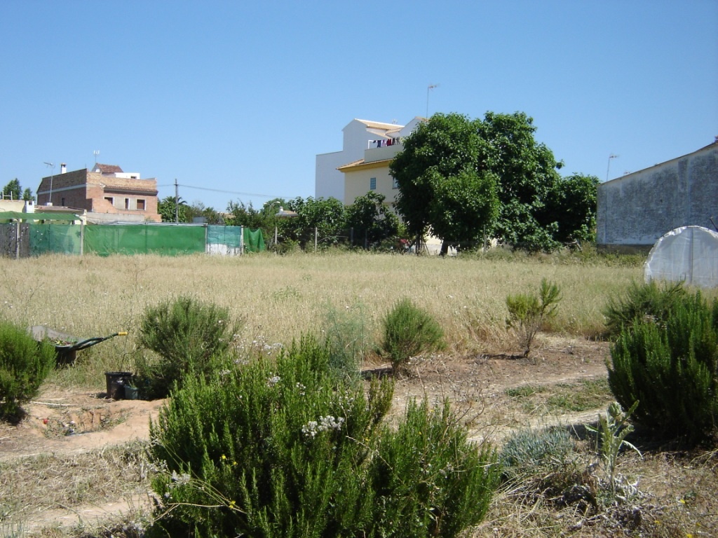 El Ayuntamiento y la Fundación Social Universal ponen en marcha un proyecto formativo en agricultura ecológica 1