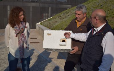 Medio Ambiente instala 11 cajas nido para favorecer la llegada del cernícalo primilla a nuestro municipio