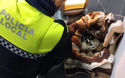 La Policía Local de Montilla rescata de un contenedor soterrado a seis cachorros de perro recién nacidos