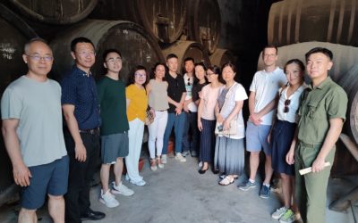 Un grupo de touroperadores chinos visita unas bodegas en Montilla entre otros atractivos de la provincia