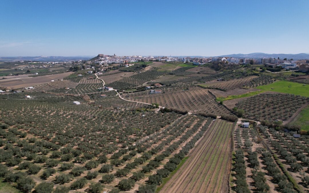 El Ayuntamiento intensificará la Agenda 2030 a través de dos planes en los próximos años