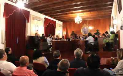 El Pleno de Montilla insta a Salud a cumplir su compromiso de dividir el Área de Gestión Sanitaria Sur de Córdoba