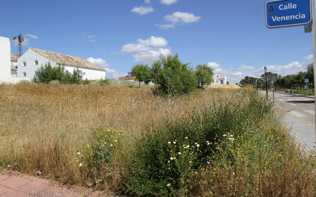 Un bando municipal recuerda la obligación de mantener desbrozados los solares urbanos