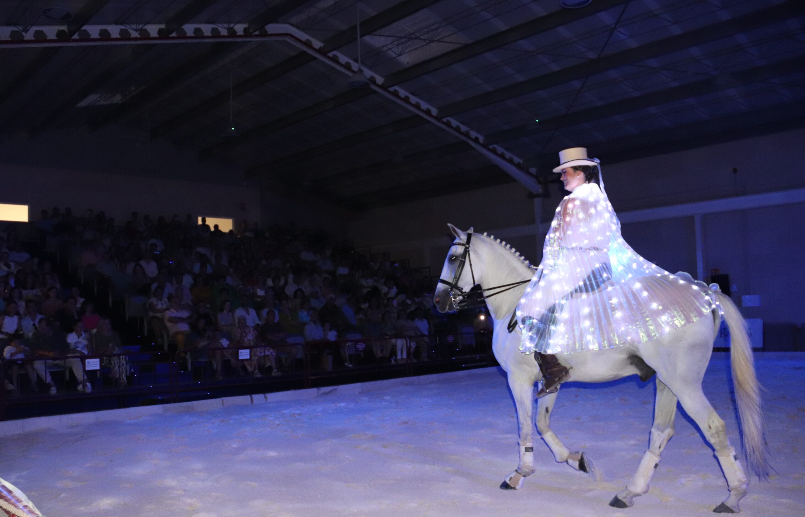 Festival ecuestre en Envidarte