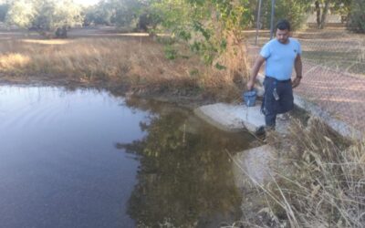 El estudio técnico en el parque Tierno Galván detecta una “población baja” de mosquitos