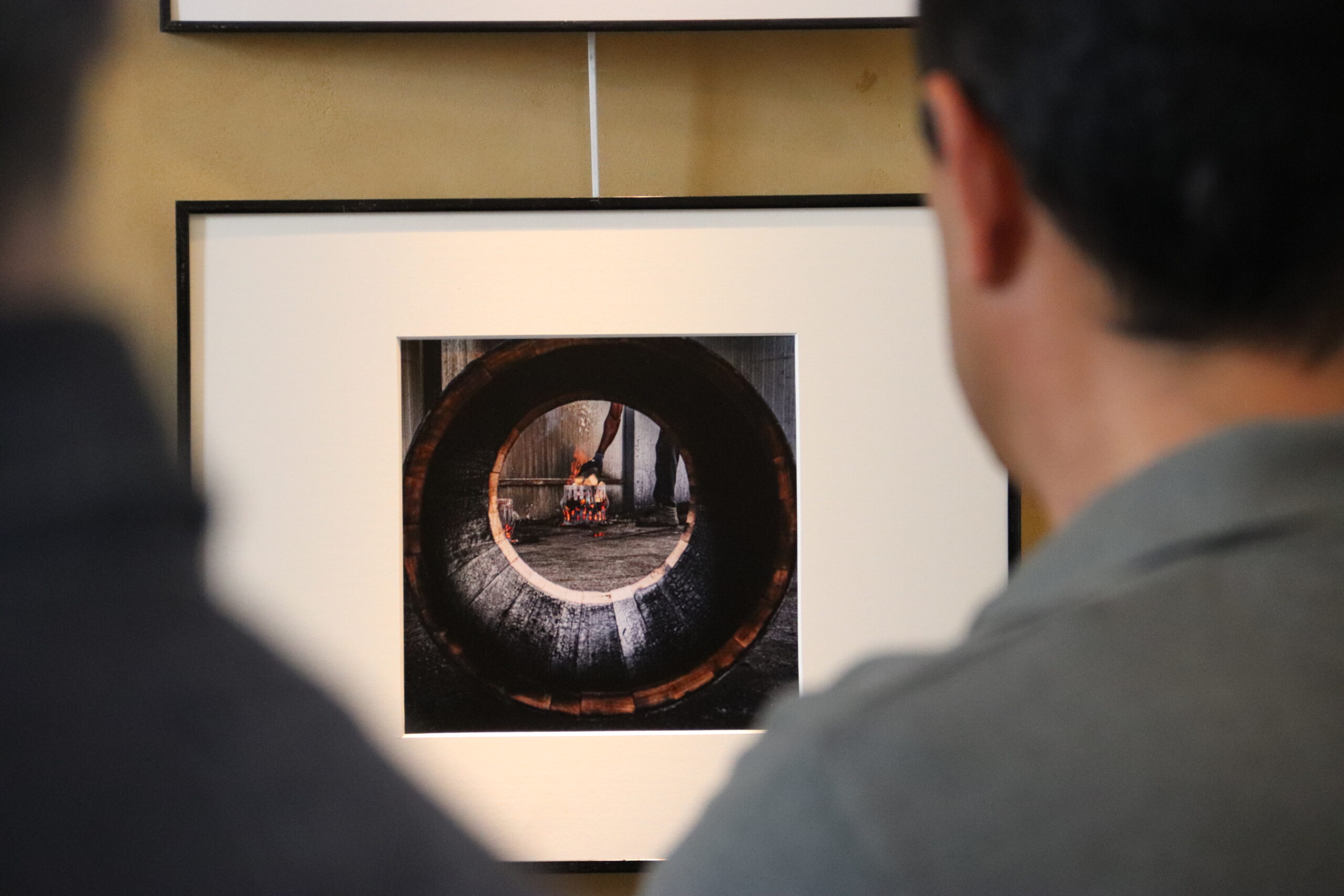 Exposición 'De la tierra al vino' en el Castillo