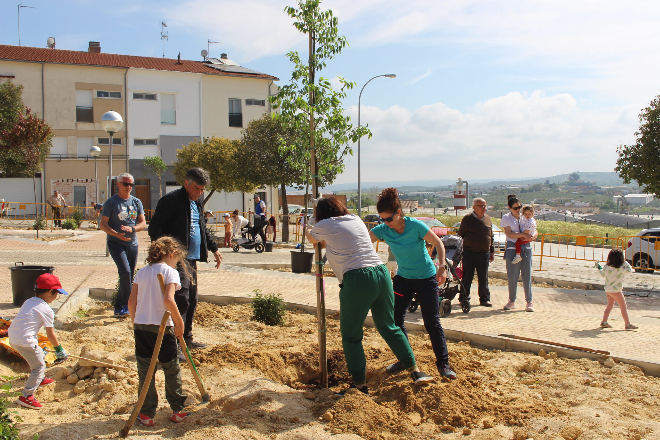 Reforestación de la plaza Guillermo Núñez de Prado